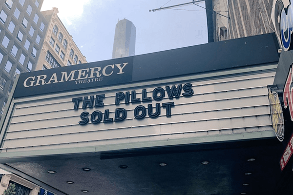 the pillows
